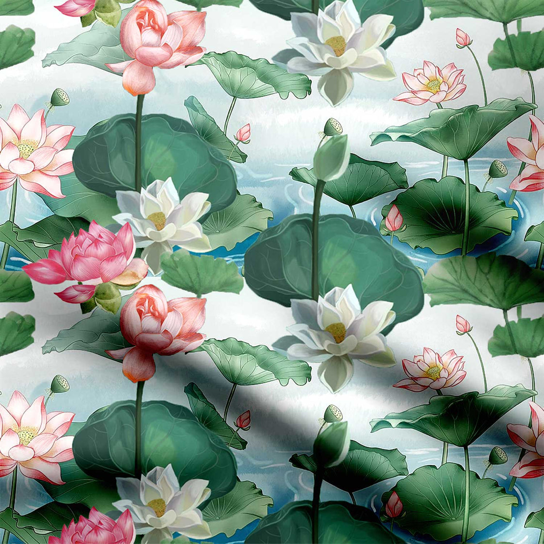 Fresh Lotus Pond