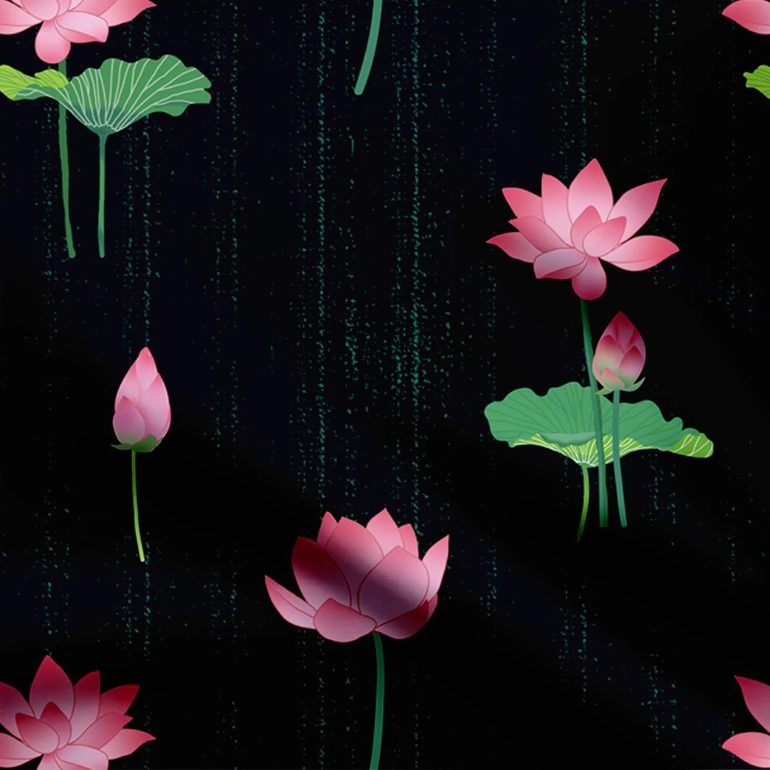 Pink Lotus Pond in Black