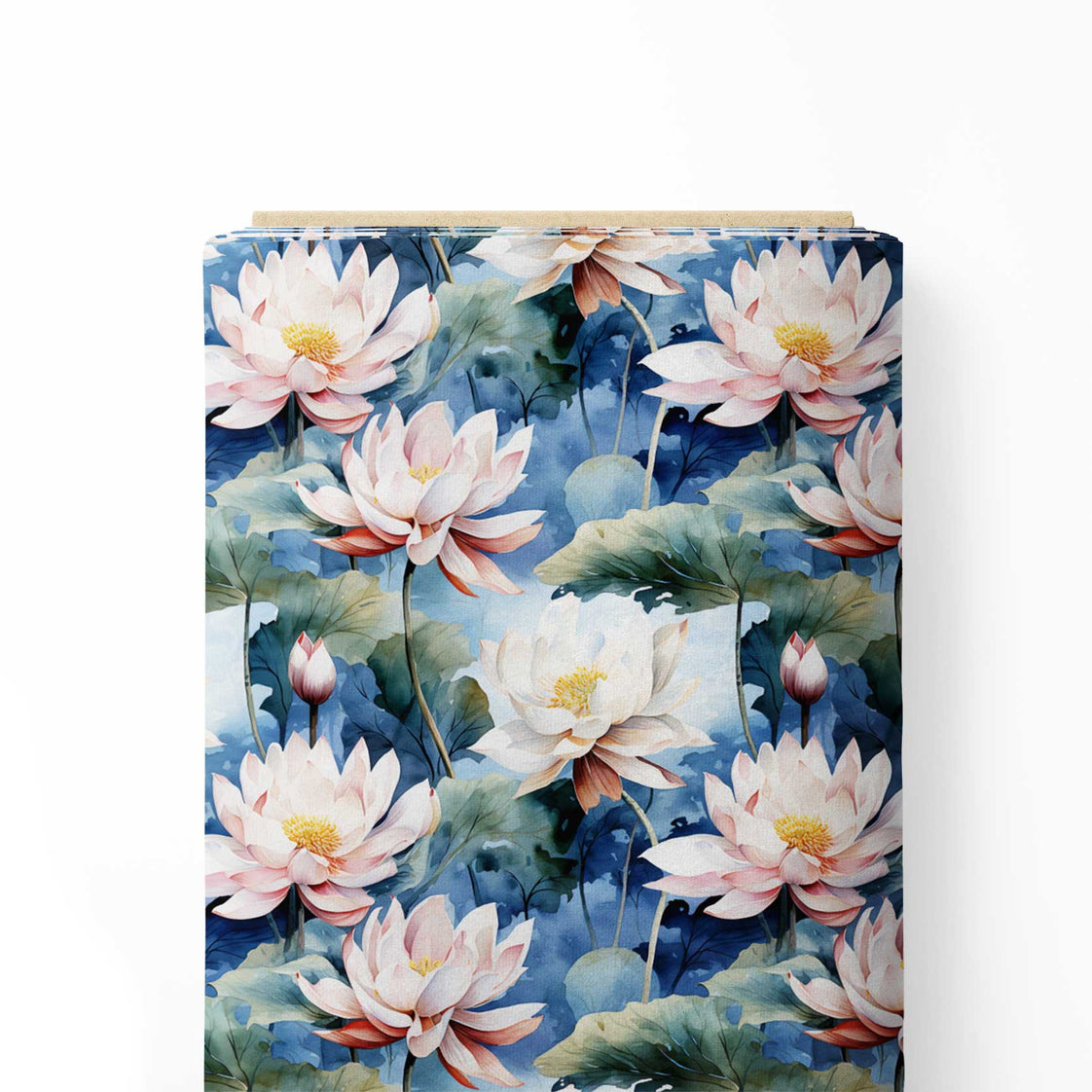 Pink and White Lotus Flowers