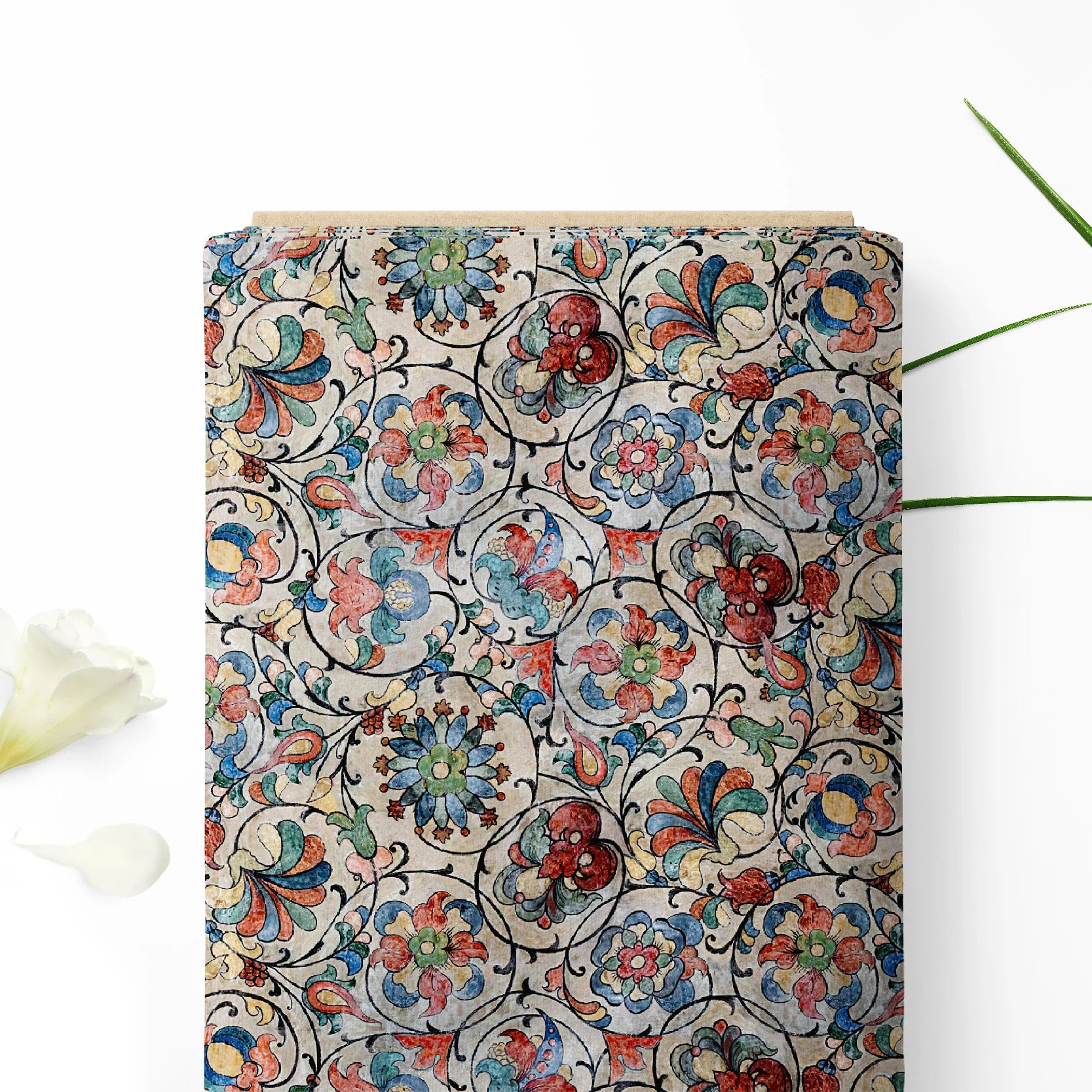 Ֆլորայի ուրվագիծ 3