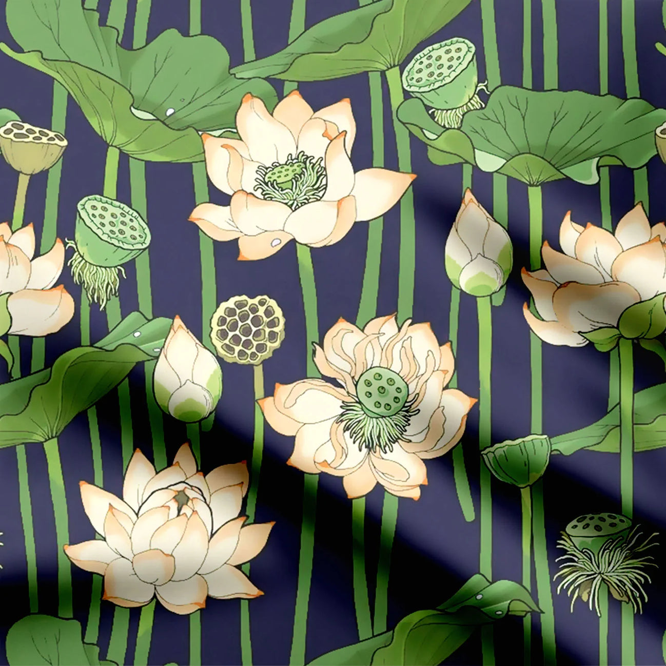 Blooming lotus