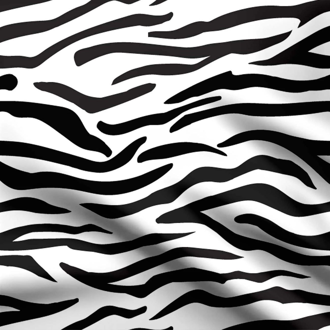 zebra safari