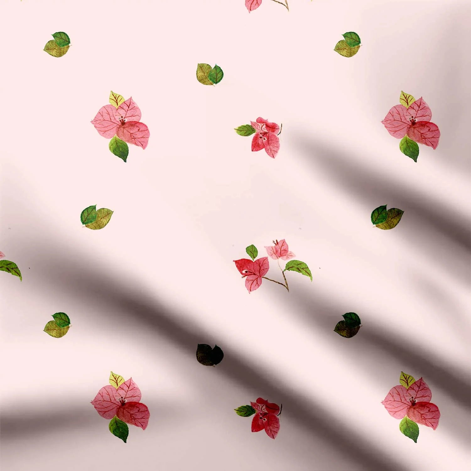 Blooming Bougainvillea