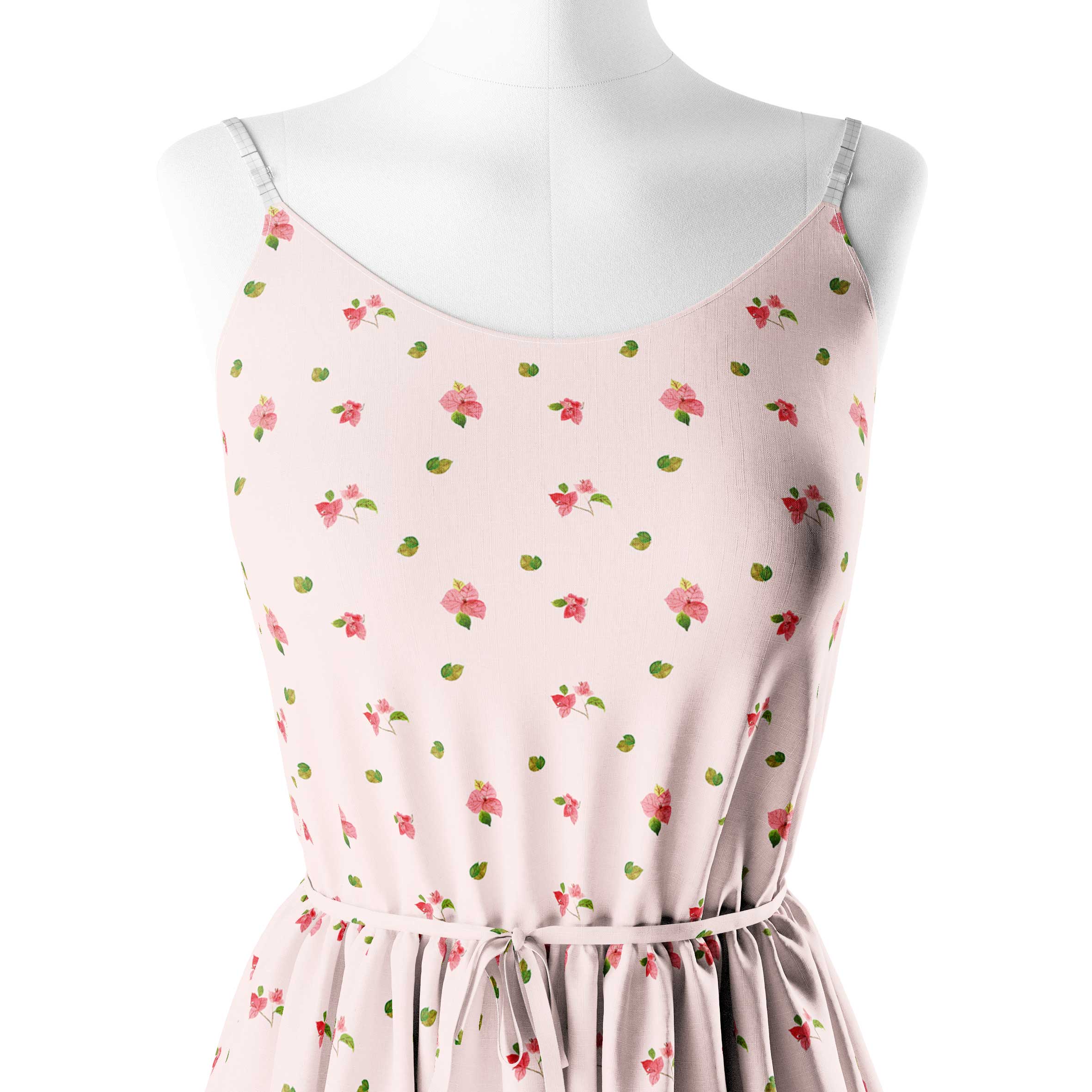 Blooming Bougainvillea