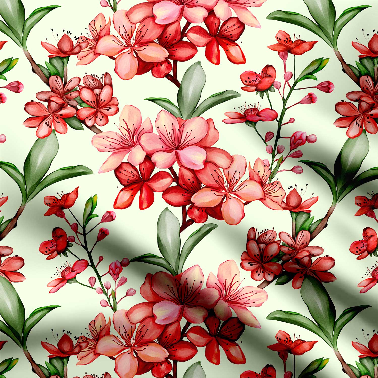 Plum Blossoms