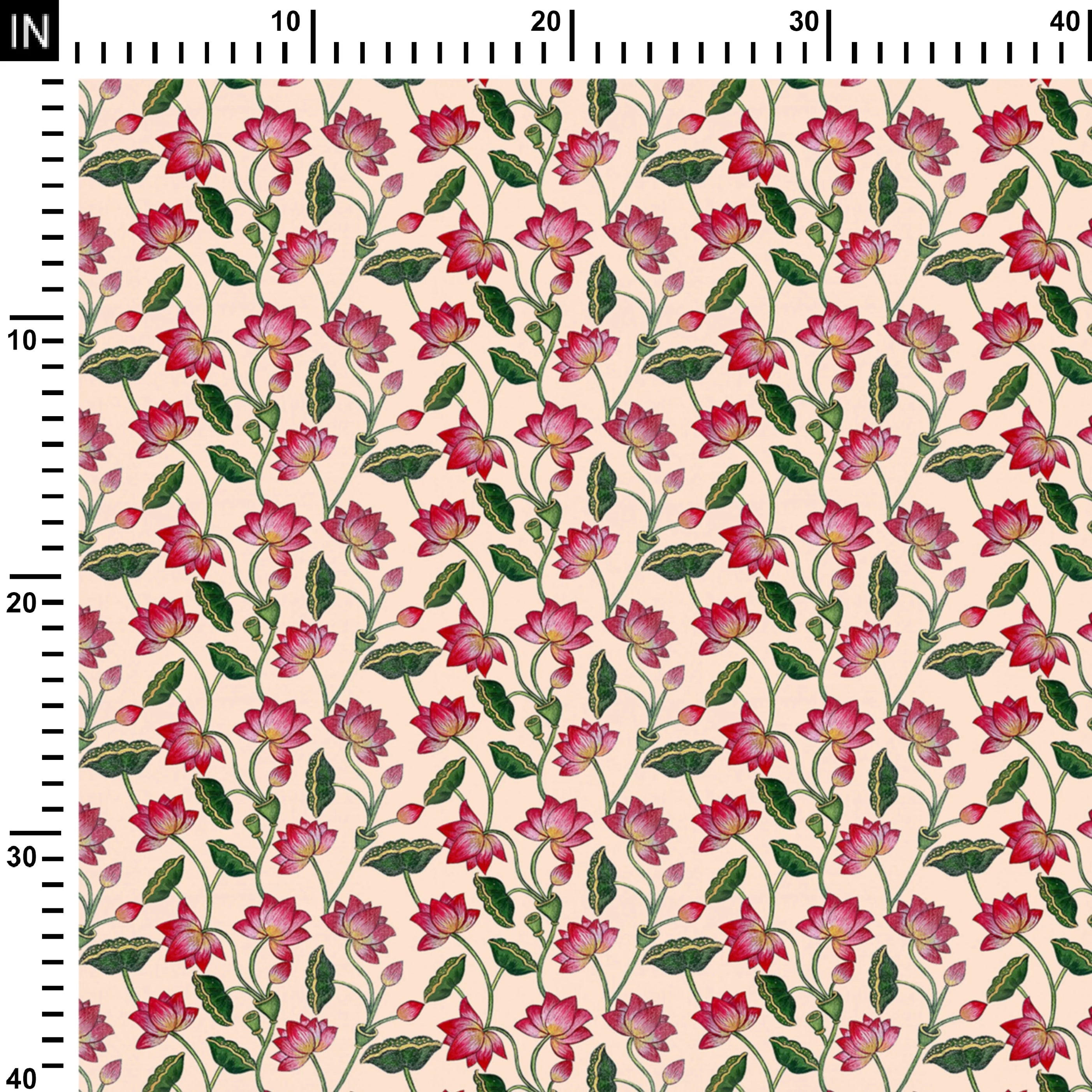 कैरोलिना क्वीन लोटस