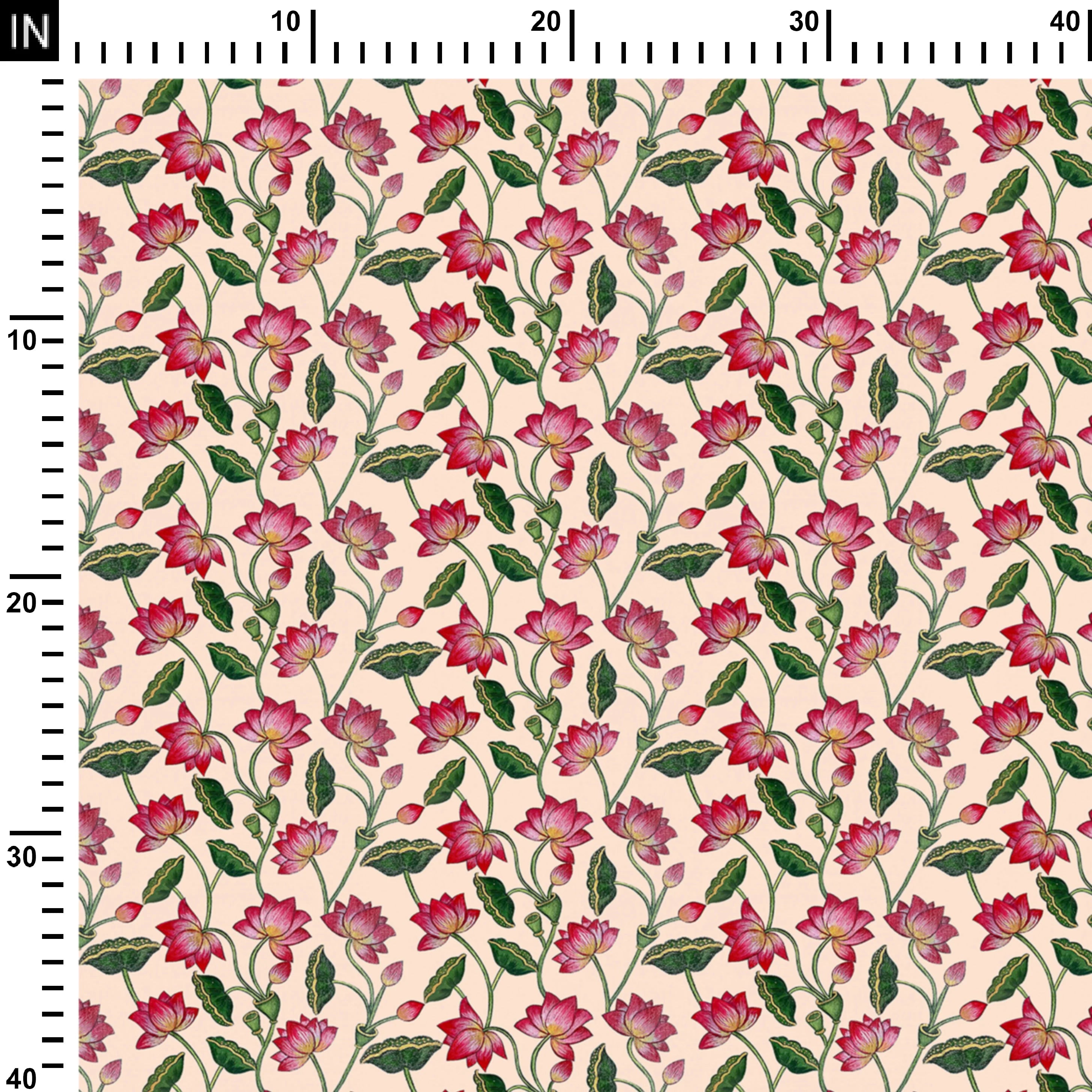 कैरोलिना क्वीन लोटस