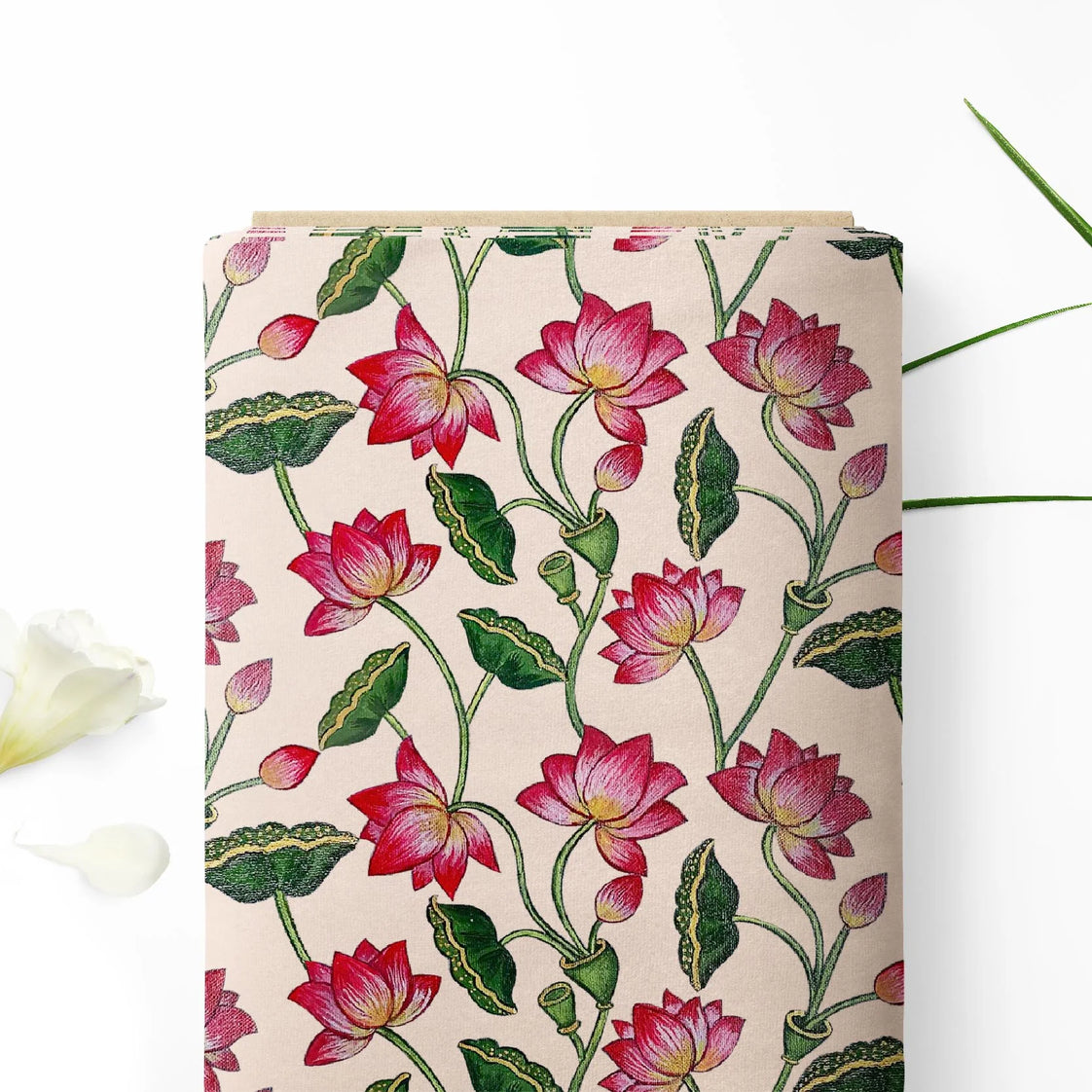 कैरोलिना क्वीन लोटस