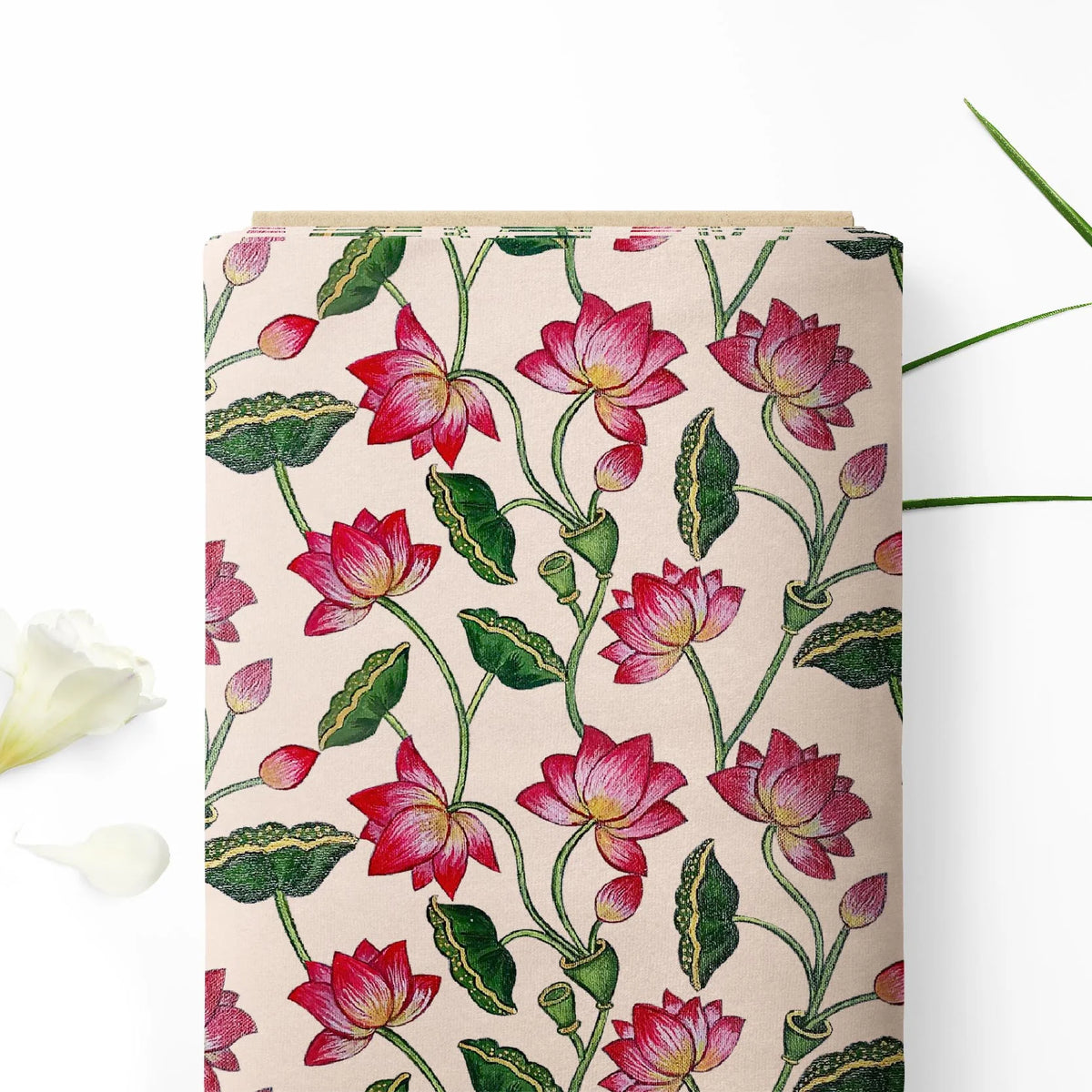 कैरोलिना क्वीन लोटस