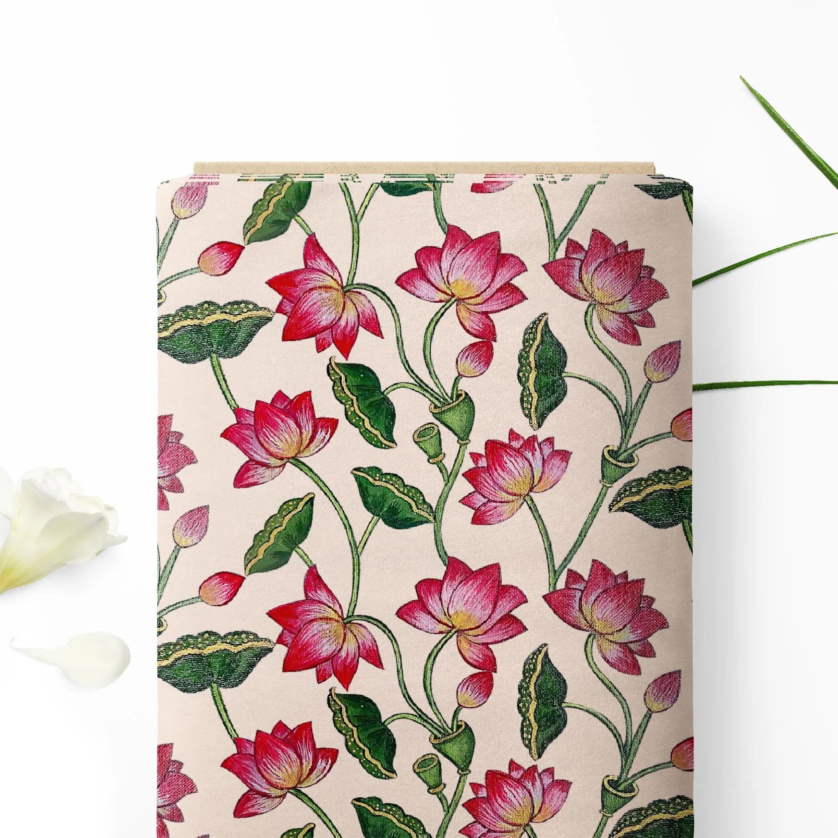 कैरोलिना क्वीन लोटस